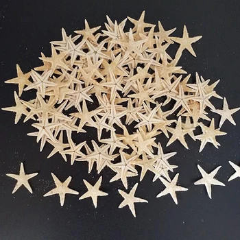 100vnt Dydis:0,5-3cm Jūros Kriauklių Mini Žvaigždė Amatų Apdaila, Natūralus Jūros Žvaigždės 
