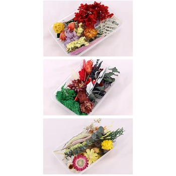 1box Spalvinga Džiovintų gėlių galvos Augalai Epoksidinės Dervos Pakabukas Karoliai, Papuošalai, Žvakės Priėmimo Amatų 