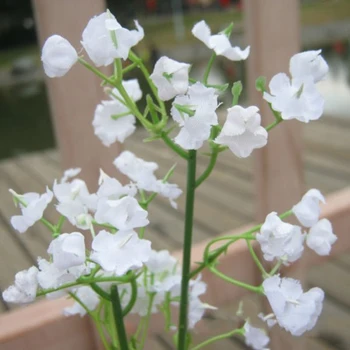 1pcs Gypsophila Dirbtinės Gėlės Mažos Kekės Kambarį Apdaila Netikrą Augalams, Vazos, Namų Vestuvių Dirbtiniai Augalai