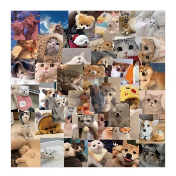 48PCS Kawaii Katė, Šuo Meme Lipdukai, Decal Mielas animacinių filmų Gyvūnų Lipdukas 