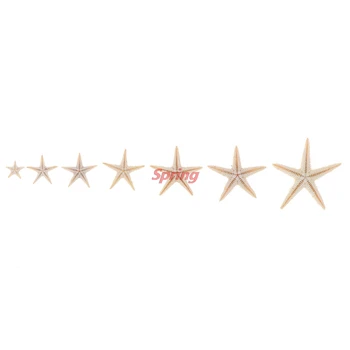 Populiarus Jūros Kriauklių Dydis:0,5-3cm Mini Žvaigždė Amatų Apdaila, Natūralus Jūros Žvaigždės 
